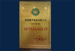 2018年度沈陽市民營企業(yè)規(guī)模百強